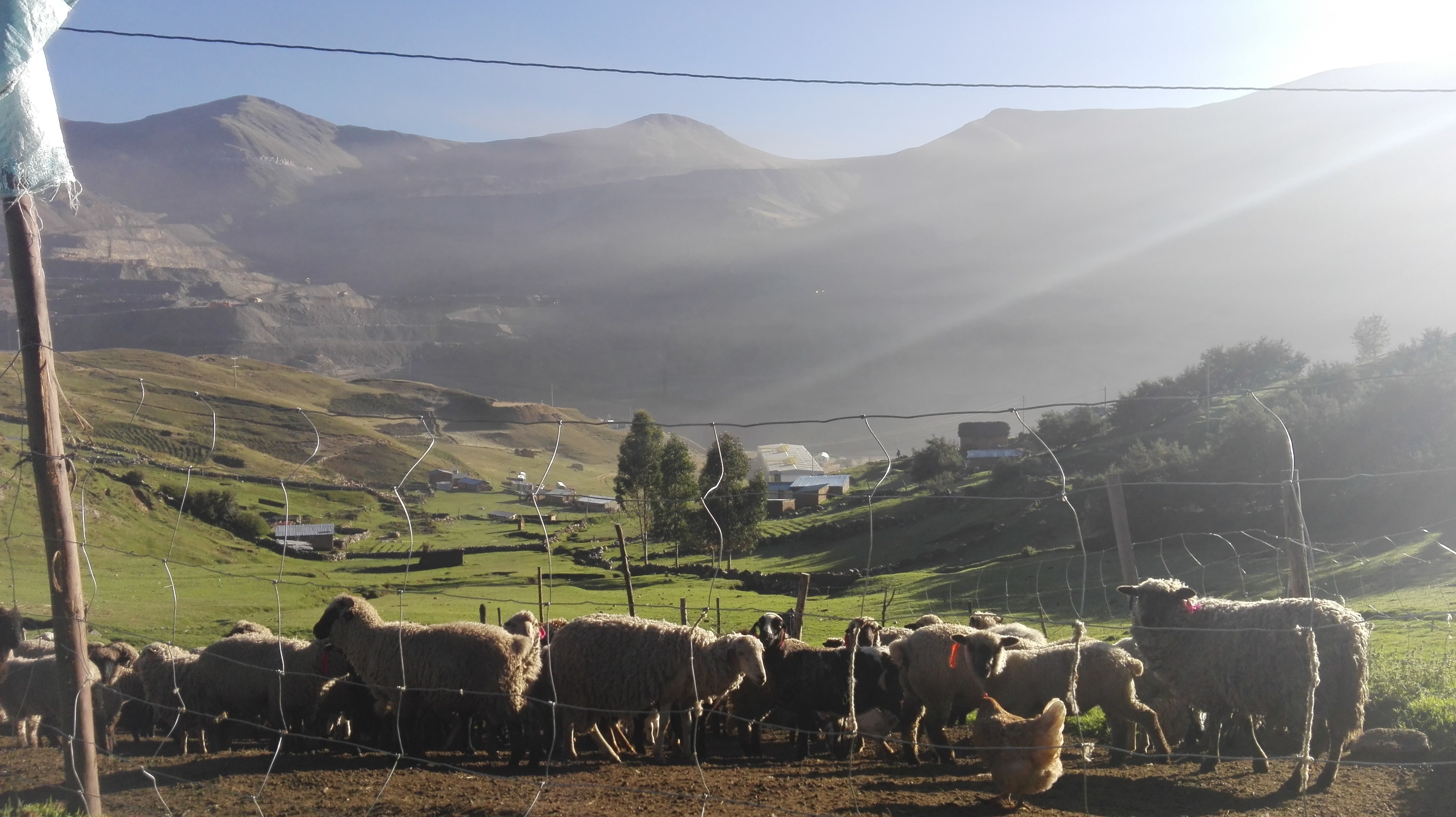 Taquiruta sigue viviendo de la ganadería y la agricultura a pocos metros de la actividad minera de Las Bambas. Foto: Milagros Salazar - Convoca.pe.